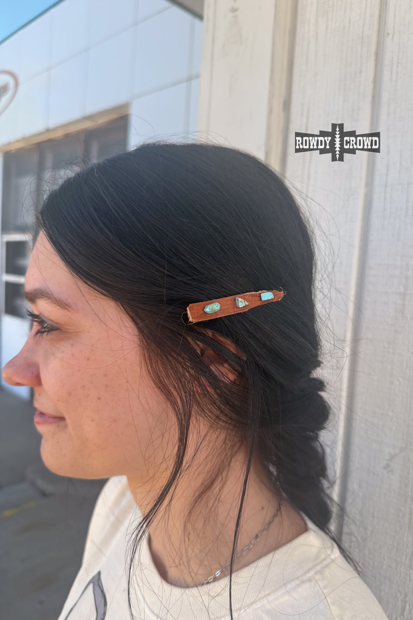 Desert Spirit Hair Clip