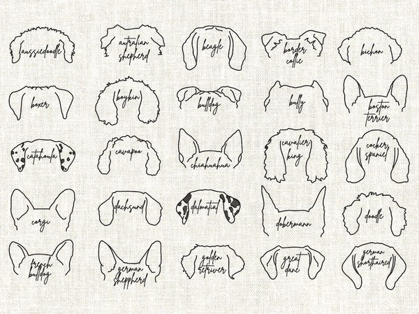 Custom Dog Ears Name & Paw Embroidered Sweatshirt