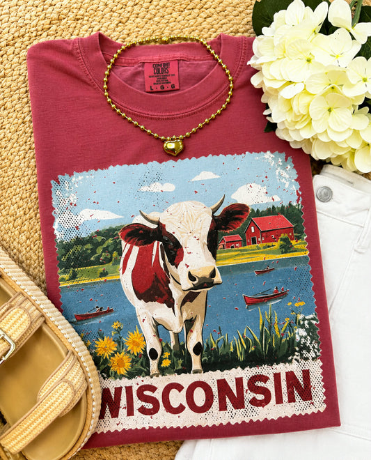 Wisconsin State Stamp Tee